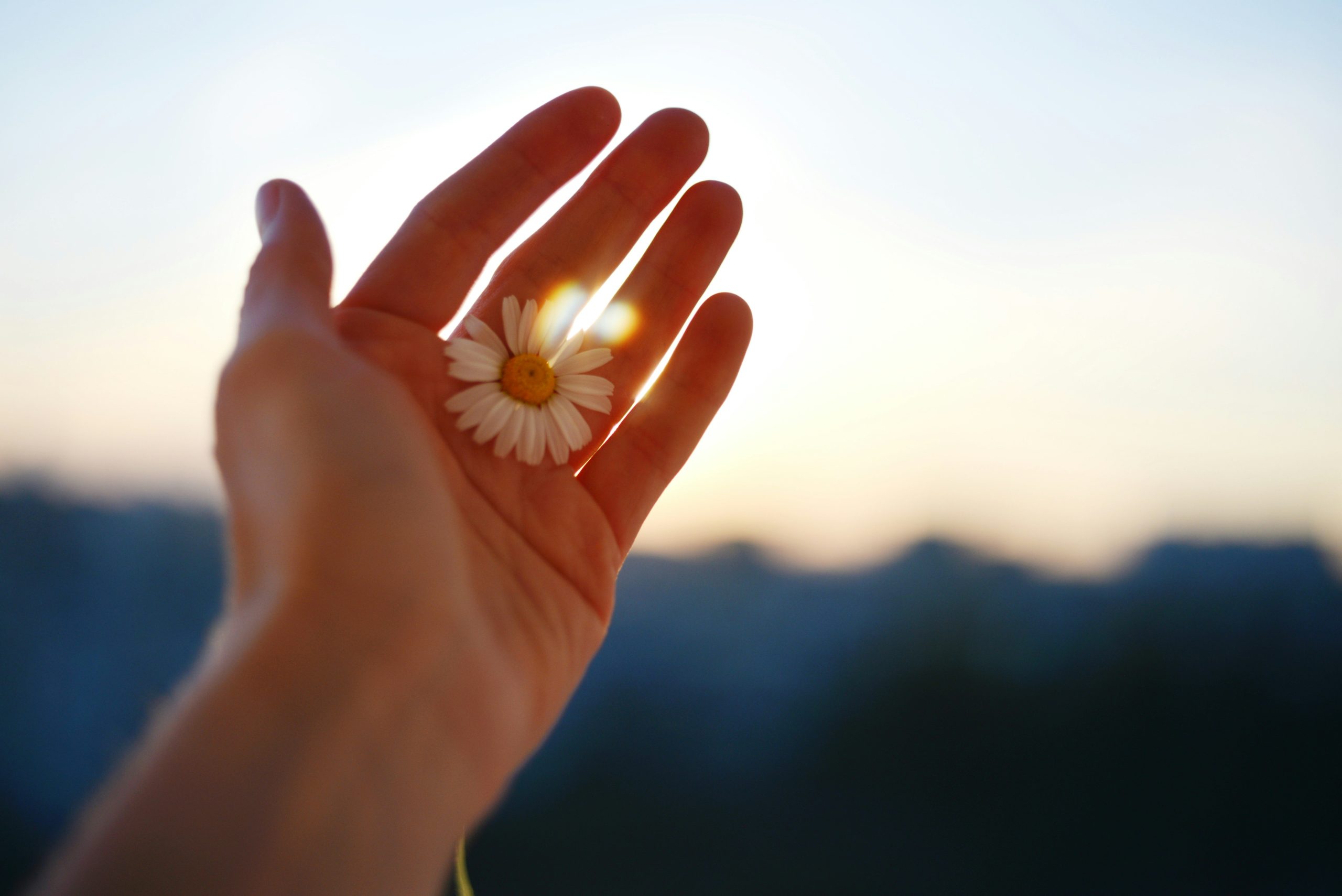 What is Reiki? (The Way I Understood It)